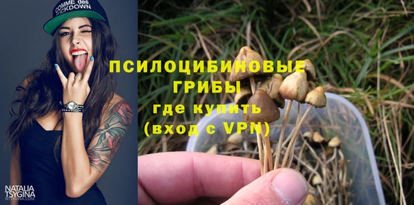 jwh Верея