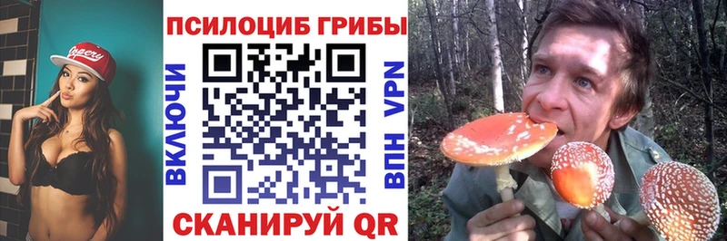Купить где  Шумерля  Галлюциногенные грибы Psilocybine cubensis 